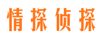 屏边侦探公司